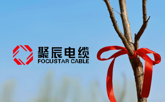 種一抹新綠，為地球充“植”